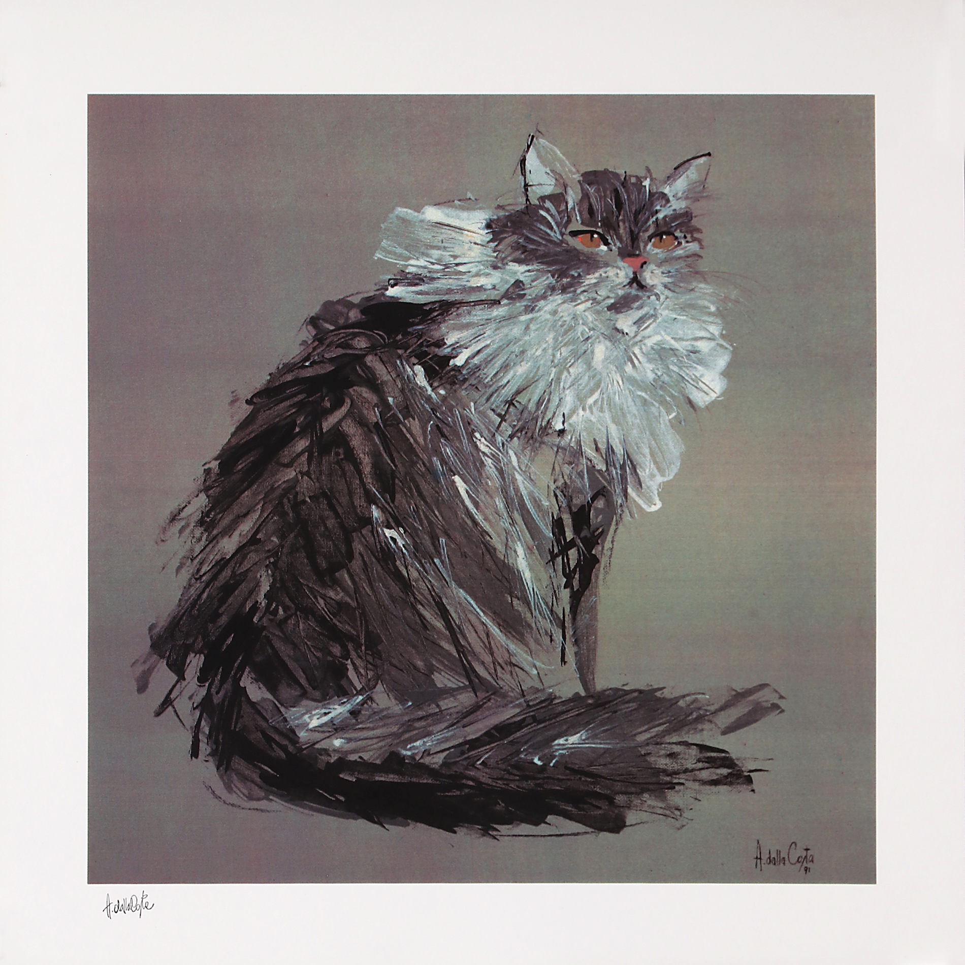 En vente :  GATTO DAGLI OCCHI ROSSII