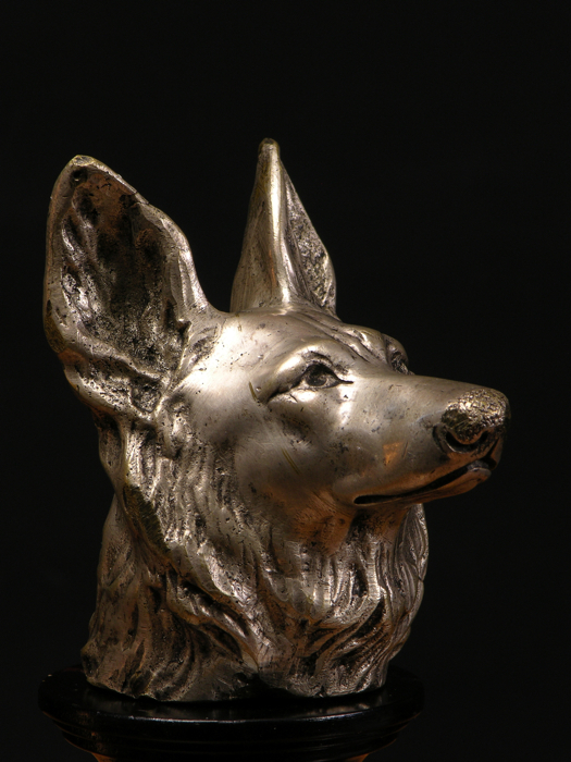 En vente :  MASCOTTE BRONZE TETE DE CHIEN LOUP