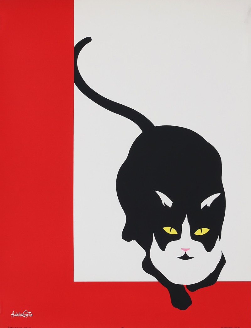 En vente :  TEO LE CHAT