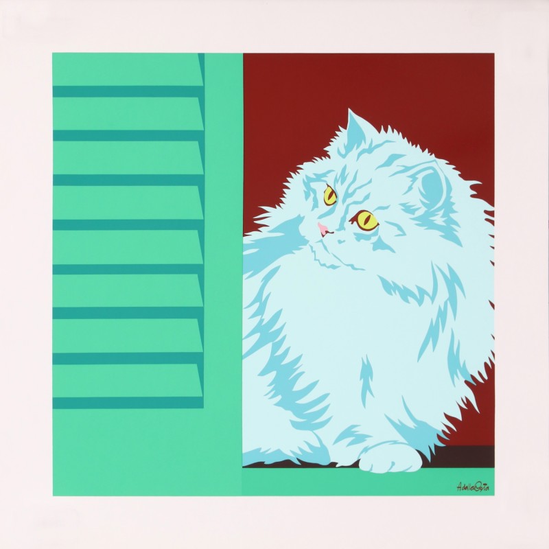 En vente :  CLIO THE CAT