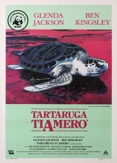 En vente :  TARTARUGA TIAMERO